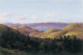 Near Wellington